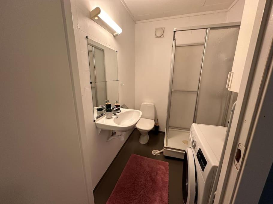 Apartment Studioleilighet Sentralt I Med Eget Soverom