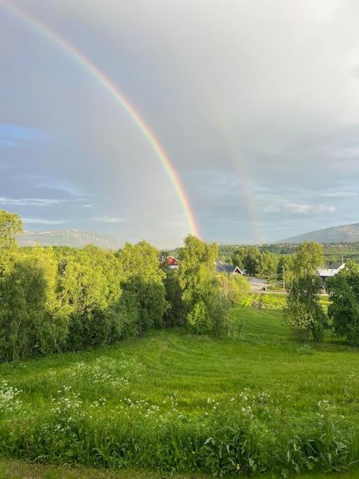 Apartment Studioleilighet Sentralt I Med Eget Soverom
