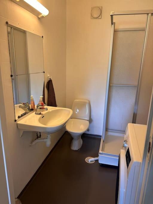 Studioleilighet Sentralt I Med Eget Soverom Apartment Alta