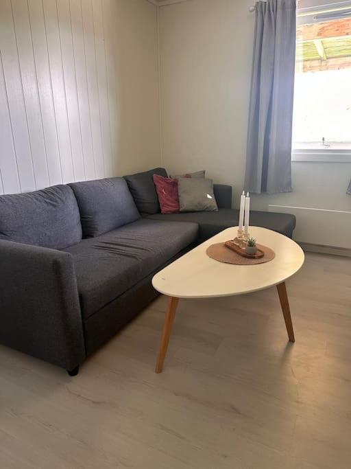 Apartment Studioleilighet Sentralt I Med Eget Soverom *